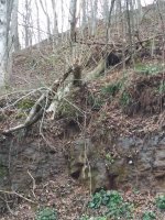20191208_144324.jpg