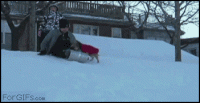giphy (18).gif