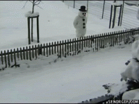 source (1).gif