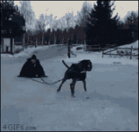 tenor (8).gif