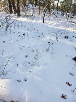 20191215_133219.jpg