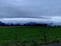 2B23872C-880B-407A-8094-E1EA899C9AC2.jpeg