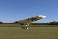 wing (640x438).jpg