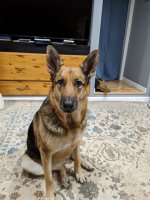 IMG_20191222_074205.jpg IMG_20191222_074205.jpg