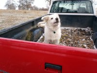 1216191211.jpg 1216191211.jpg