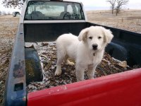 1216191211a.jpg 1216191211a.jpg