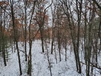 20191221_071558.jpg