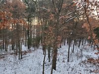 20191221_071547.jpg