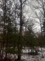 IMG_20191224_142728927_HDR.jpg