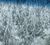 5CFA8446-6046-4A53-904E-FCE19F14C212.jpeg