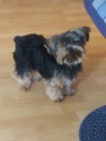 20191225_132901.jpg