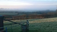 WP_20191225_08_42_10_Pro.jpg