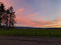 A7D0217B-9C74-4859-97E5-292F87667EC8.jpeg