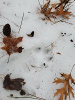 20191225_133727.jpg