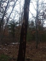IMG_20191227_151155337.jpg
