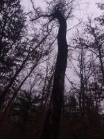 IMG_20191227_151158976.jpg