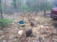 IMG_20191227_153552878.jpg