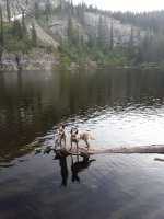 20190614_192903.jpg
