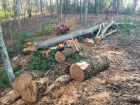 Firewood2.jpg