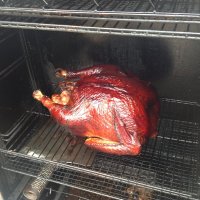 image.jpeg
