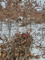 20191228_095206.jpg
