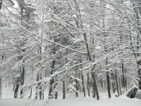 IMG_20191231_082510462.jpg