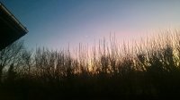 WP_20191229_16_48_16_Pro.jpg