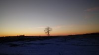 20200101_172559.jpg