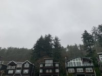 8F255F08-9407-49D7-91CF-0DA93C7D341D.jpeg
