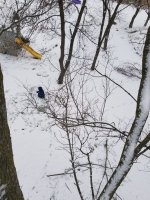 20171211_155623.jpg