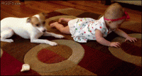 giphy (29).gif