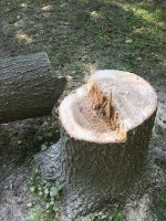 IMG_4785.jpg