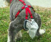 dog-poop-collector-trap.jpg