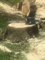 8AE1630D-E0EE-4AF1-89CF-7632542ED188.jpeg