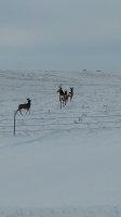 IMG_20161227_153325267.jpg