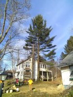 IMG_20200117_110632555.jpg