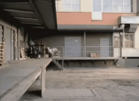 D6E6F45C-4982-4ECE-98E9-8866F8A63764.gif