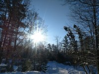IMG_20200120_092616181.jpg