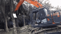 daily_gifdump_3241_13.gif
