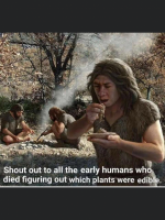 2BE18C31-7198-44C8-B120-45FB5DA8A845.png