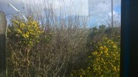 WP_20200115_11_43_52_Pro.jpg