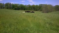 WP_20160516_004.jpg
