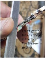 file.JPG