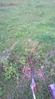 WP_20160518_001.jpg