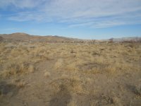 Old photos 325.jpg Old photos 325.jpg