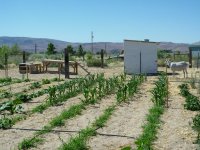 Old photos 1431.jpg Old photos 1431.jpg