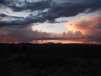 DSCF1946.JPG DSCF1946.JPG