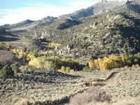 DSCF1957.JPG DSCF1957.JPG