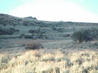 DSCF1960.JPG DSCF1960.JPG