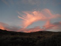 DSCF1967.JPG DSCF1967.JPG